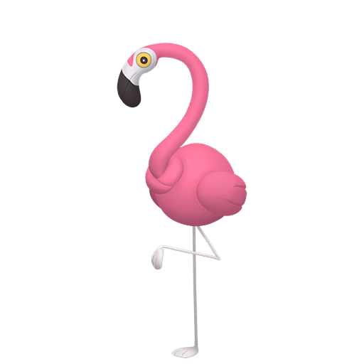 Flamigo